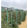10 Supper strong 32mm * 2400mm Fibreglass Rods