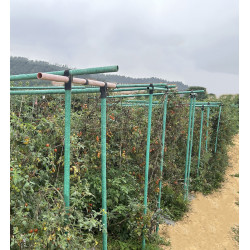 1 Supper strong 32mm *...