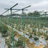 1 Super strong 32mm * 2400mm Fibreglass Pole