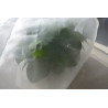 3.5m by 10m Anti-Insect net
