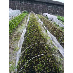 10 of 8mm * 2300mm Fibreglass Rods