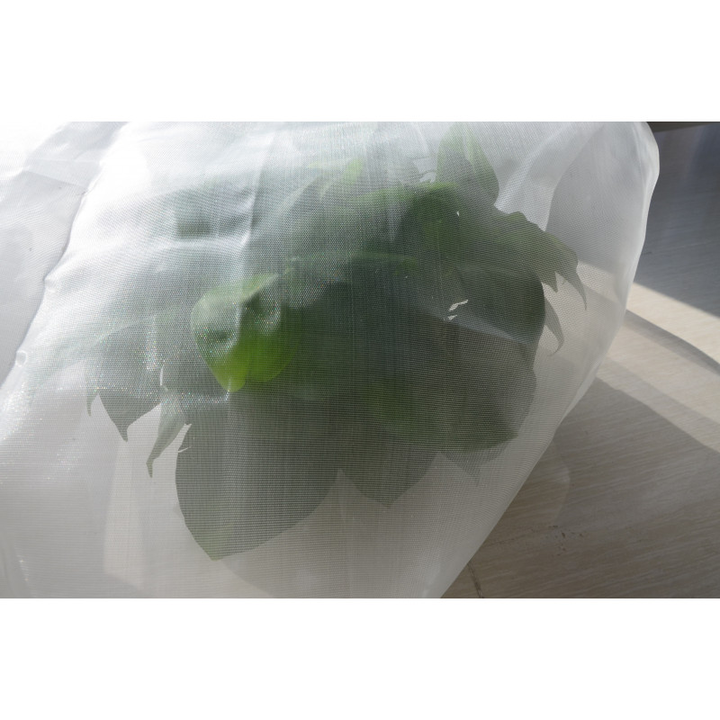 3.5m by 50m Anti-Insect net