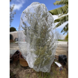 1.5m*1.5m*2m Insect net bag