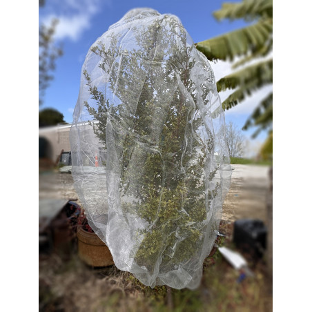 1.5m*1.5m*2m Insect net bag