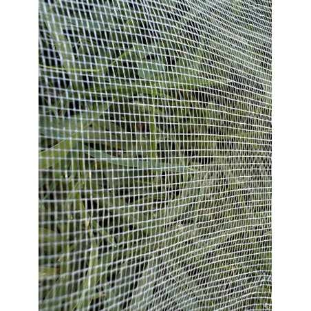 2.5m by 20m Anti-Insect net